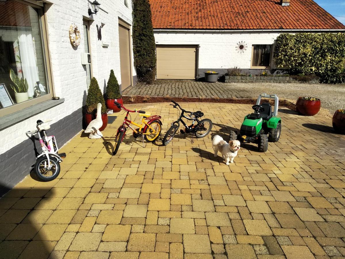 B&B Het Polderhof Jabbeke  Luaran gambar